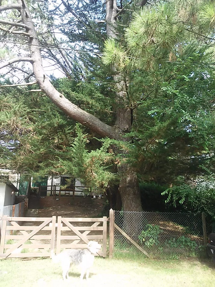 Casa Pipo zona centro en Villa Gesell