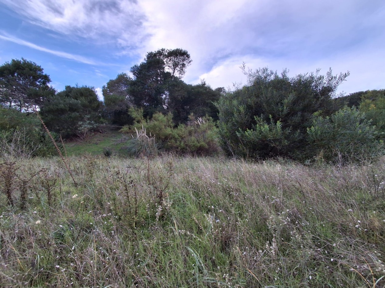 Terreno Villa Gesell