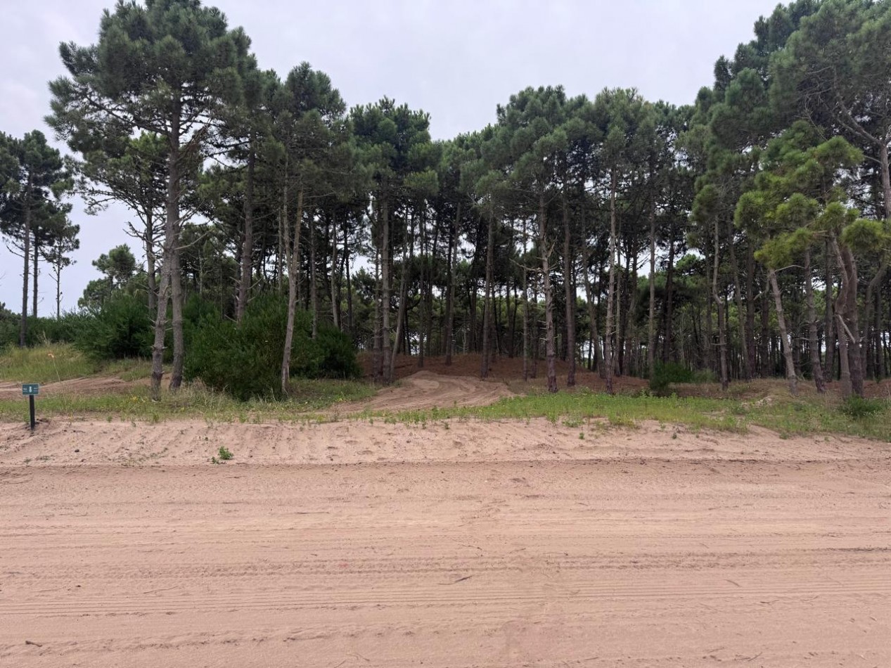 Terreno en venta - Bosques - Pinamar -