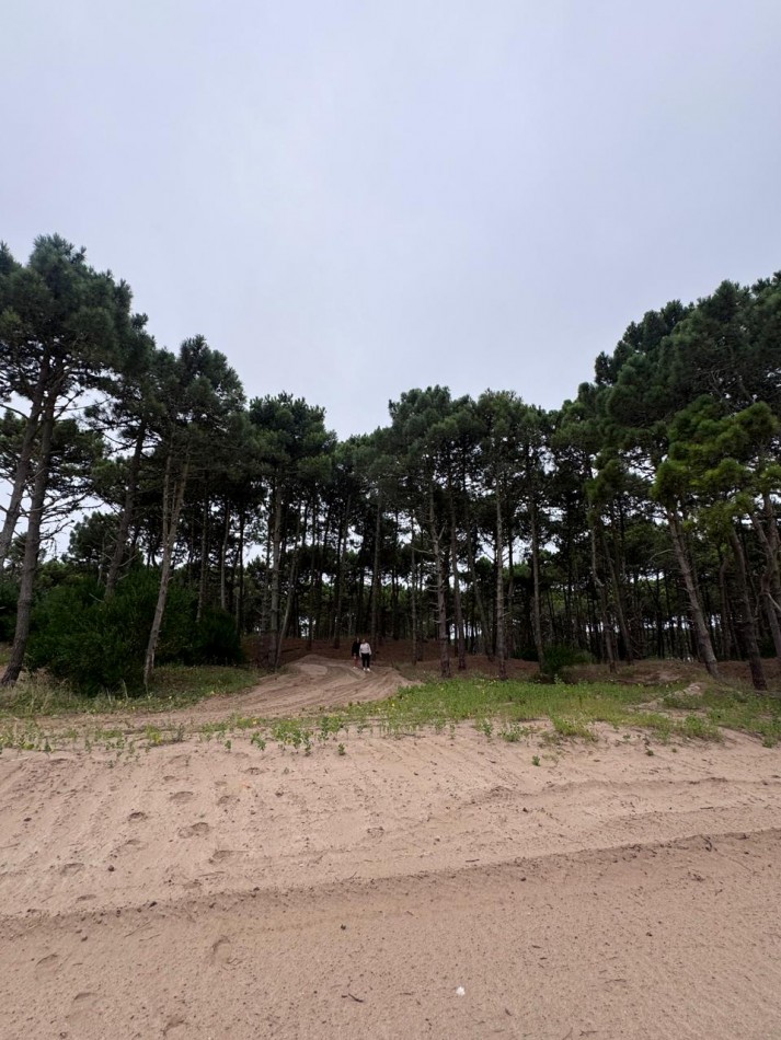 Terreno en venta - Bosques - Pinamar -