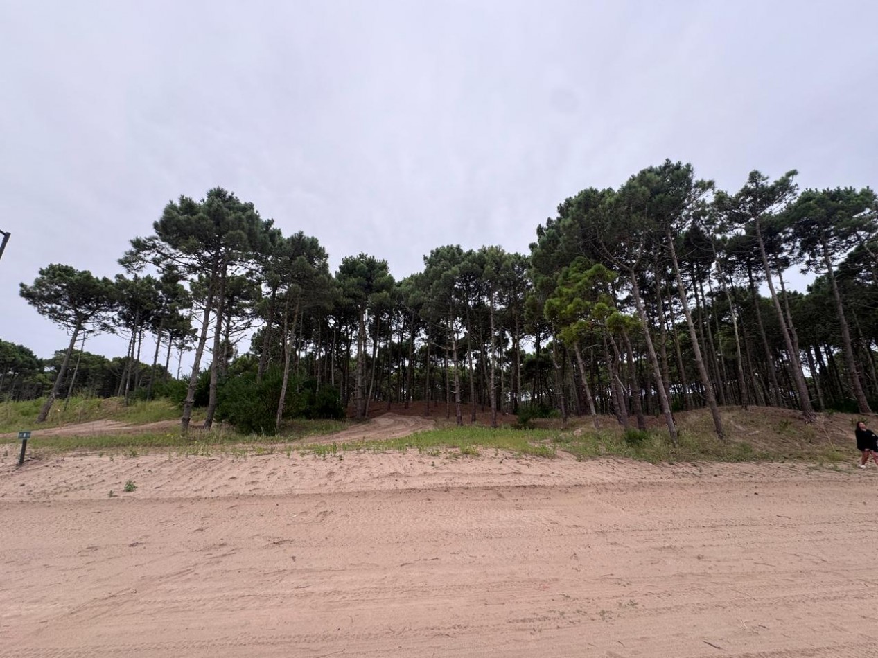 Terreno en venta - Bosques - Pinamar -