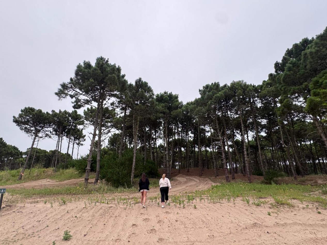 Terreno en venta - Bosques - Pinamar -