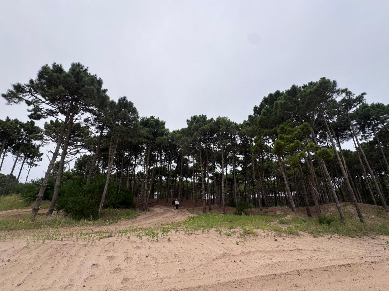 Terreno en venta - Bosques - Pinamar -