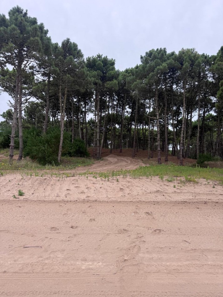 Terreno en venta - Bosques - Pinamar -