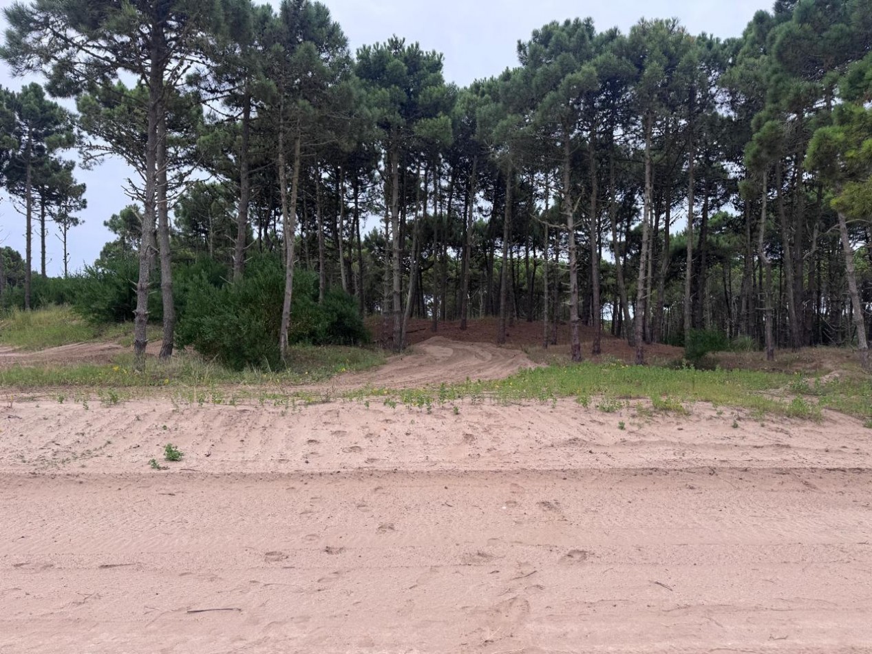 Terreno en venta - Bosques - Pinamar -
