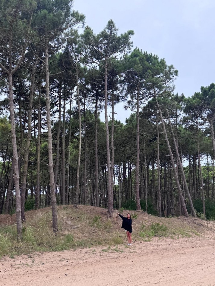Terreno en venta - Bosques - Pinamar -