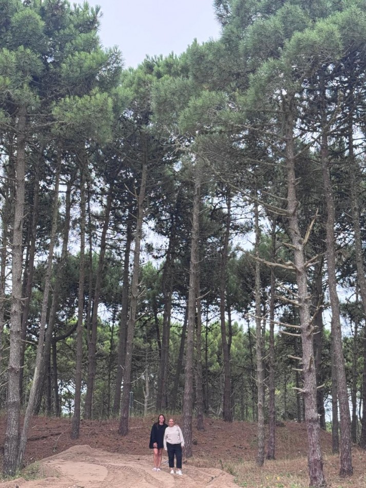 Terreno en venta - Bosques - Pinamar -
