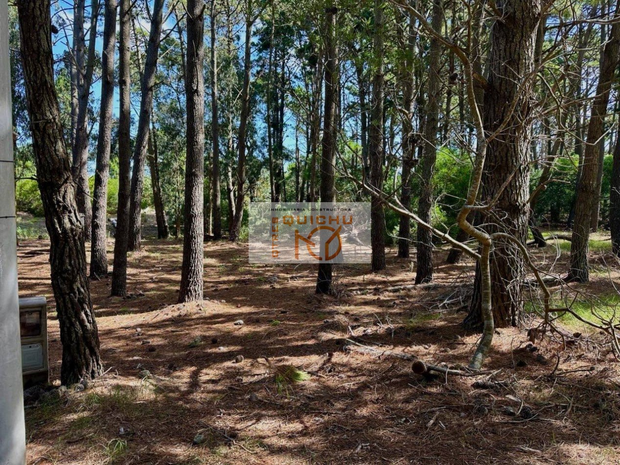 LOTE MAR DE LAS PAMPAS